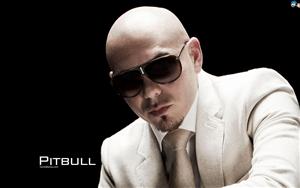 Pitbull